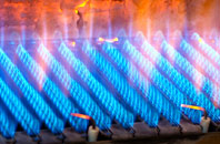 Leckmelm gas fired boilers
